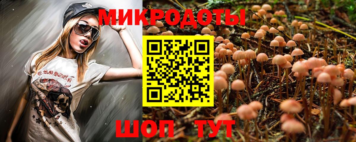 Галлюциногенные грибы прущие грибы  Вход с VPN  Кизляр  Галлюциногенные грибы Magic Shrooms 